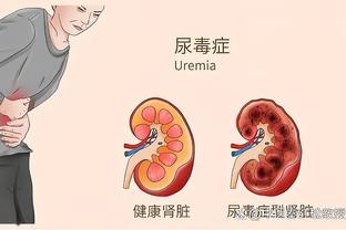 半岛电竞官方网站首页下载手机版截图4